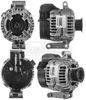 BBA2551_887567.JPG