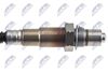 esl-vw-014_2-wm.JPG