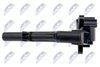 ECZ-ME-019_3-WM.JPG