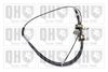 QH_BC3143.JPG
