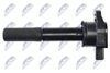 ECZ-MS-018_3-WM.JPG