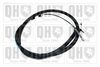 QH_BC2447.JPG
