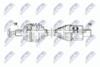 NPW-ME-060_9-WM.PNG