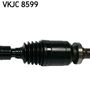 VKJC 8599_3.JPG