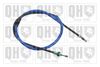 QH_BC4117.JPG