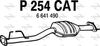P254CAT.JPG