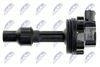 ECZ-VV-005_3-WM.JPG