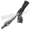 250-24764_1.JPG