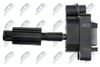 ECZ-FR-015_3-WM.JPG