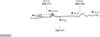 SYS14507.JPG