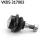 VKDS 317003_2.JPG