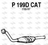 P199DCAT.JPG