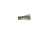 Bosch Fuel Injection System Valve F 019 D03 372