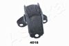 GOM-4018_1.JPG
