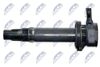 ECZ-DA-002_3-WM.JPG