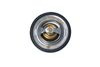205_725149.ZIP