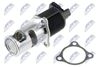 EGR-RE-000_2-WM.JPG