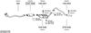 SYS02179.JPG