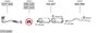 SYS12464.JPG
