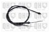 QH_BC3919.JPG