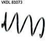 VKDL 81073.JPG