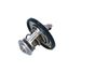 Termostat, chladivo 725174