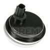 BREMI