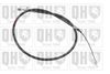 QH_BC2473.JPG