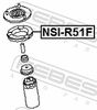 NSI-R51F_1.JPG