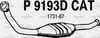 P9193DCAT.JPG