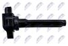 ECZ-MS-026_3-WM.JPG