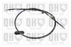 QH_BC4294.JPG