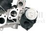 egr_2508457_5.JPG