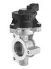 BorgWarner EGR Valve 710980D0