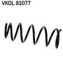 VKDL 81077.JPG
