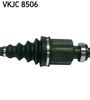 VKJC 8506_3.JPG
