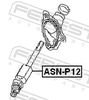 ASN-P12_1.JPG