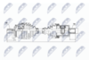 NPW-VV-018_9-WM.PNG