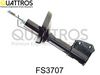 fs3707.JPG