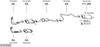 SYS10320.JPG