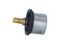 Termostat, chladivo 725029