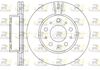 6231-10-MODEL.BMP