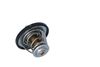 Termostat, chladivo 725174