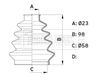 BCB1008_914168.JPG