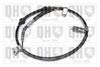 QH_BC2996.JPG