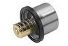Termostat, chladivo 4619.86