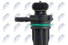 ECP-CH-036_4-WM.JPG