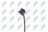 EGT-FT-038_3-WM.JPG