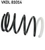 VKDL 81014.JPG