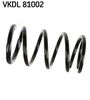 VKDL 81002.JPG